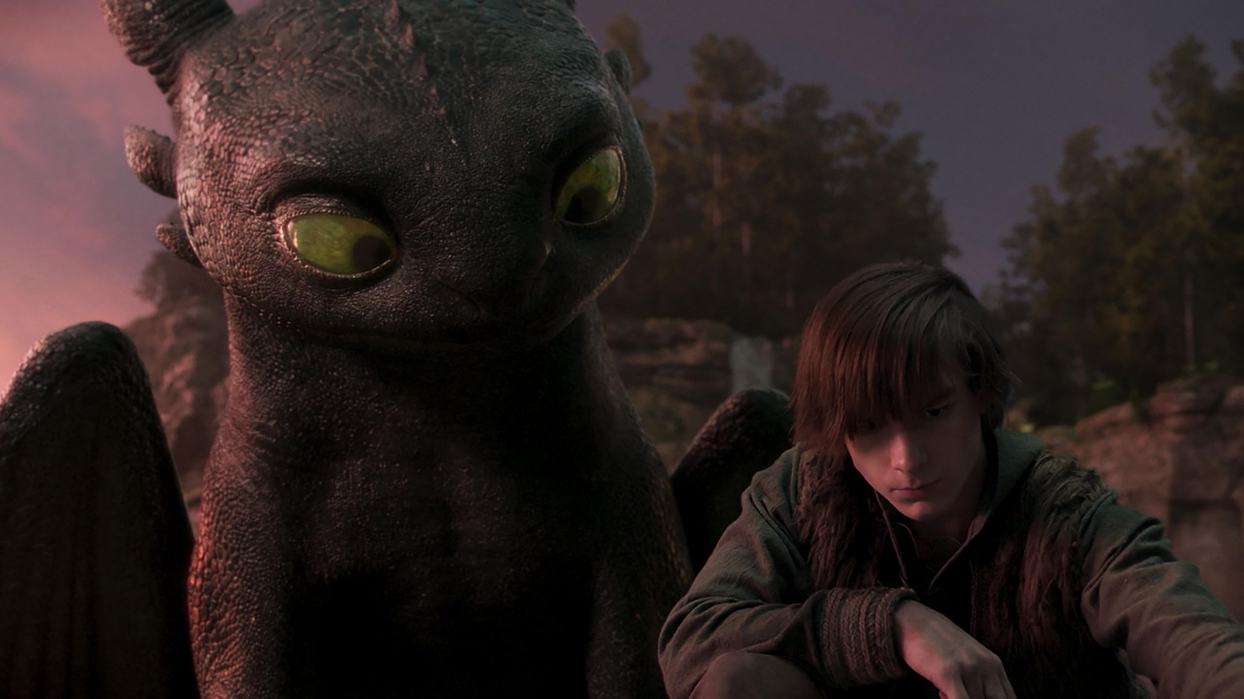 How to Train Your Dragon (2025) - Collector's Edition [DVD]