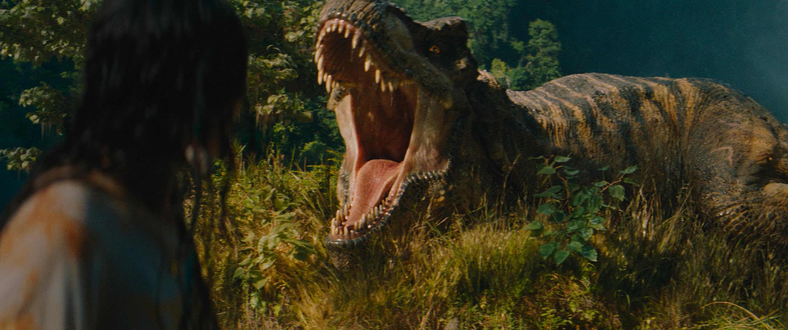Jurassic World Rebirth (DVD)