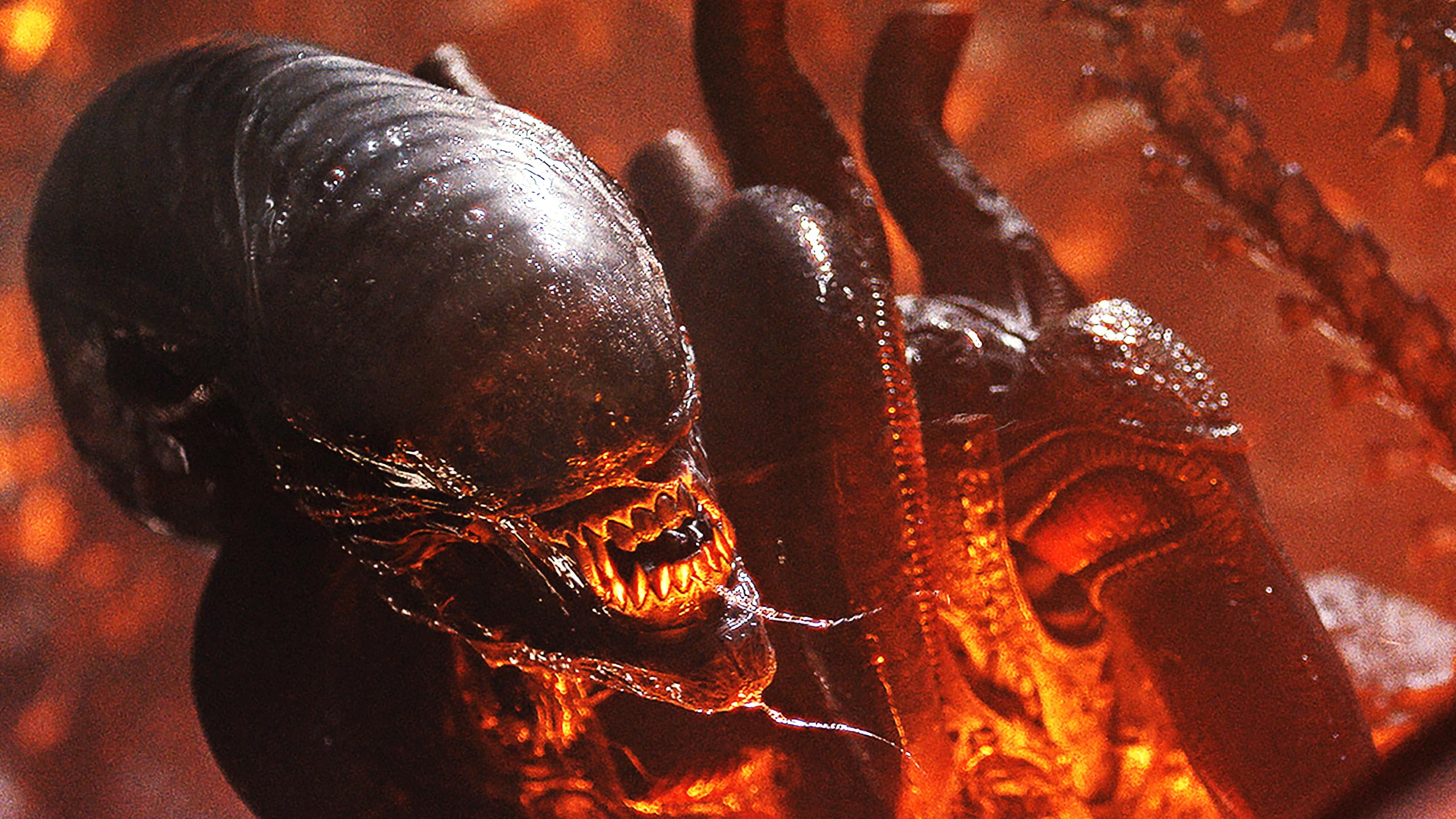Alien: Romulus - 4K + Blu-ray + Digital